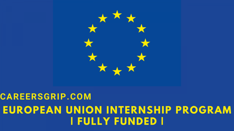 European Union Internship 2024 EU Fully Funded Internship   European Union Internship Program 768x432 