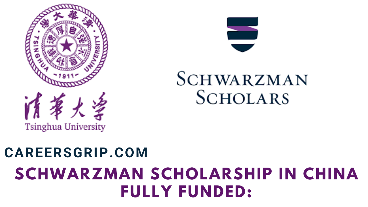 Schwarzman Scholarship in China