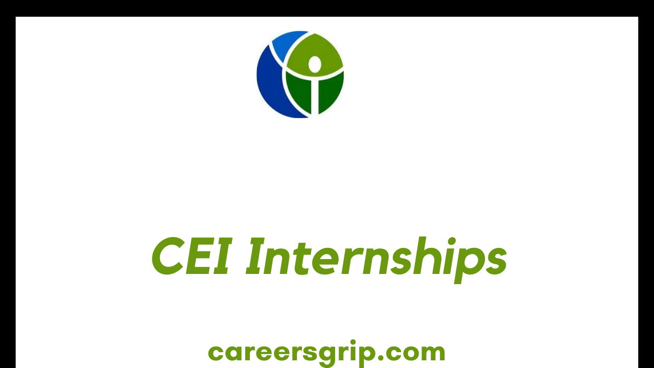 CEI Internships